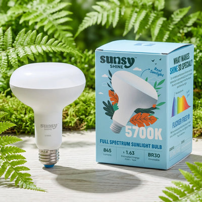Shine: The Sunlight Bulb - BR30 β 5700K