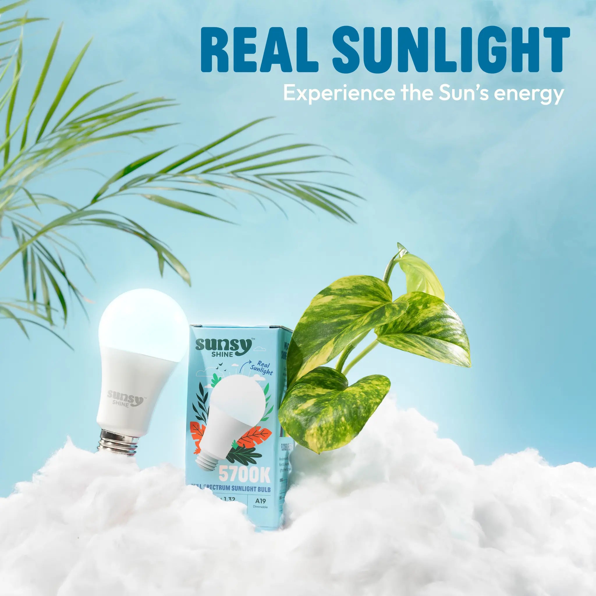 5700k light bulb and box sitting on a pile of white cotton clouds with some foliage