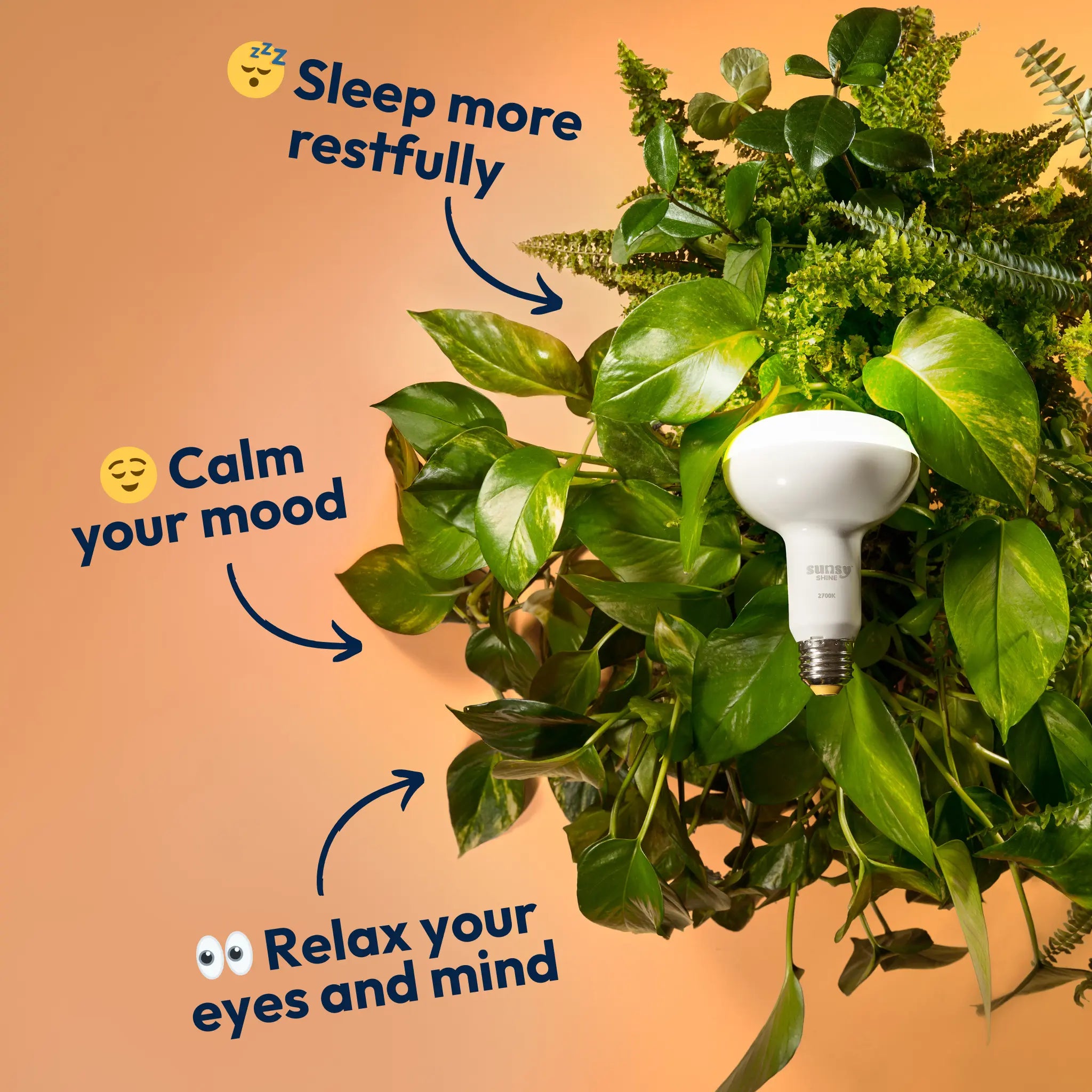 Light bulb on a plant with text suggesting benefits of sleep, mood, and eye relaxation