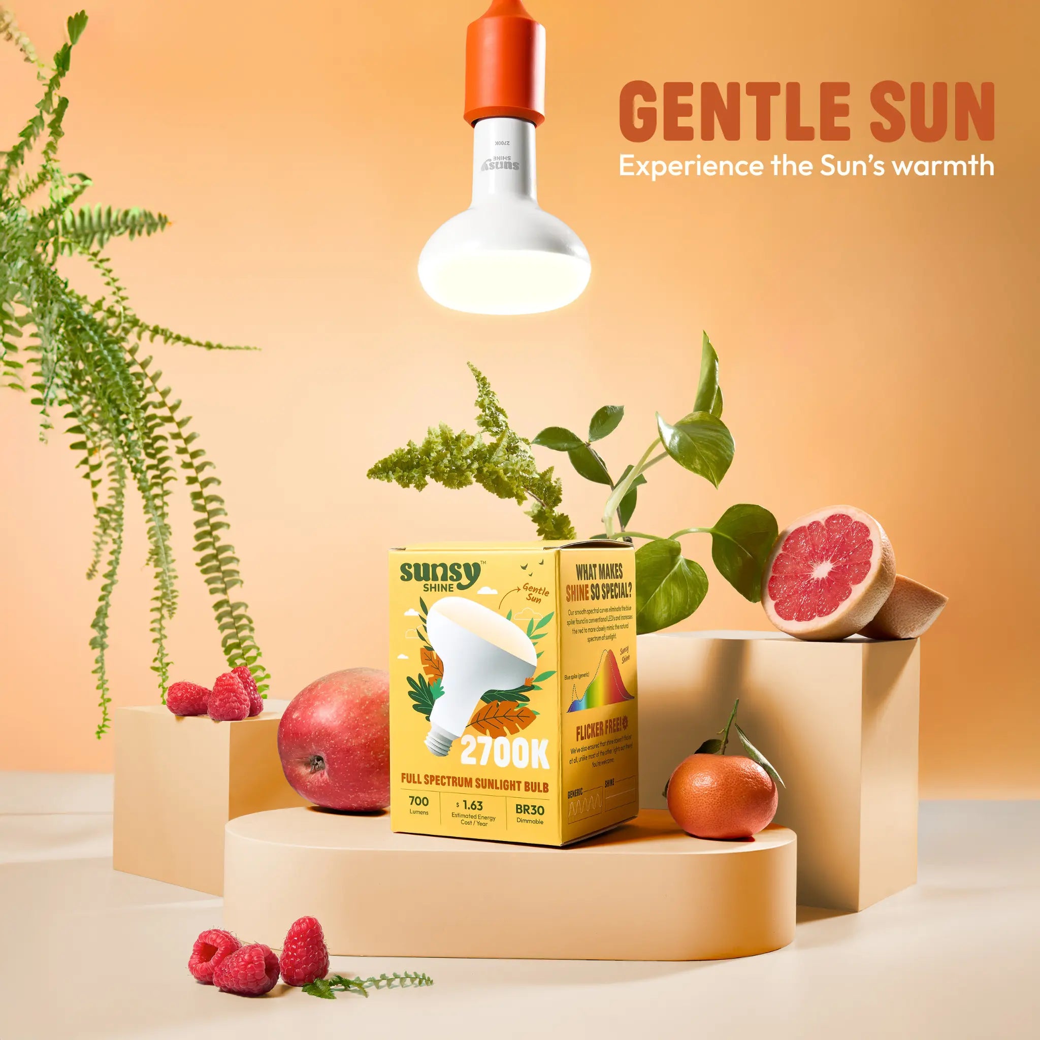Gentle Sun product with light bulb and fruits on a beige surface#color-temperature_2700k