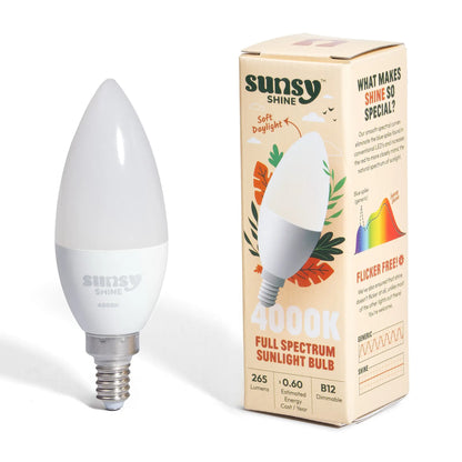 4000k b12 sitting upright next to its box on a white background