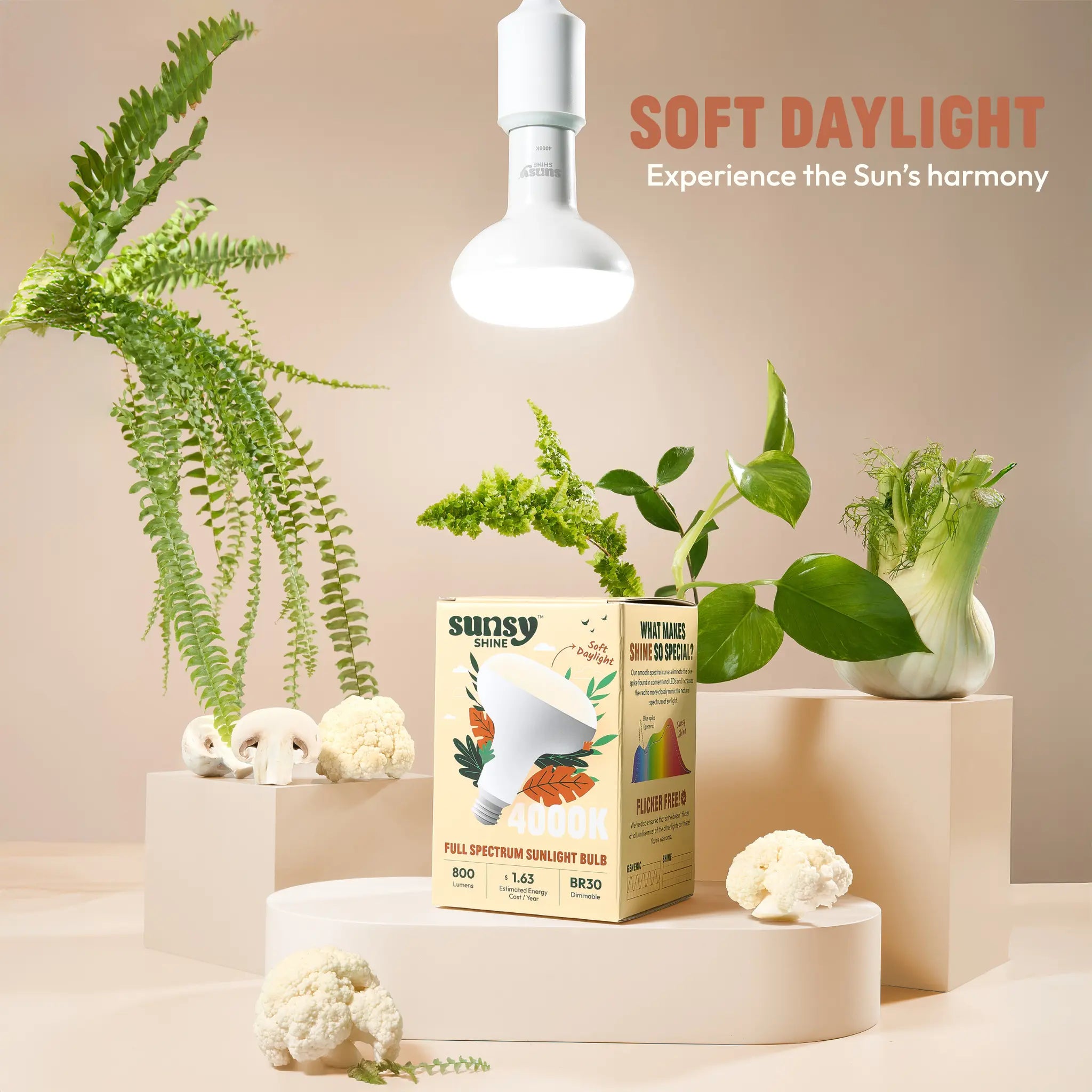 Sunlight bulb packaging with plants and 'Soft Daylight' text on a neutral background