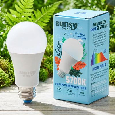 Shine: The Sunlight Bulb - A19 – 5700K