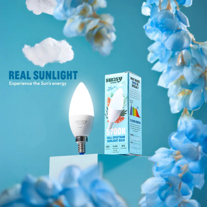 Sunlight bulb and packaging with flowers and sky in the background