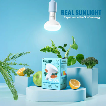 Sunsy LED bulb packaging with plants and fruits on a blue background