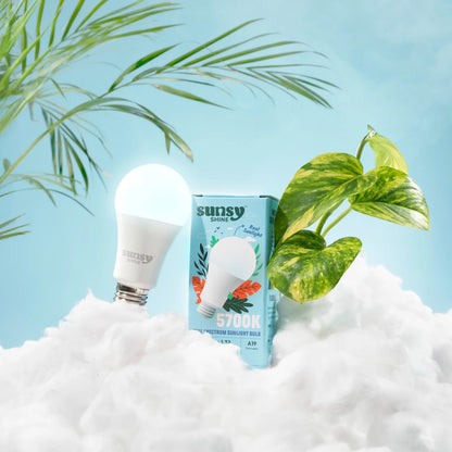 5700k light bulb and box sitting on a pile of white cotton clouds with some foliage