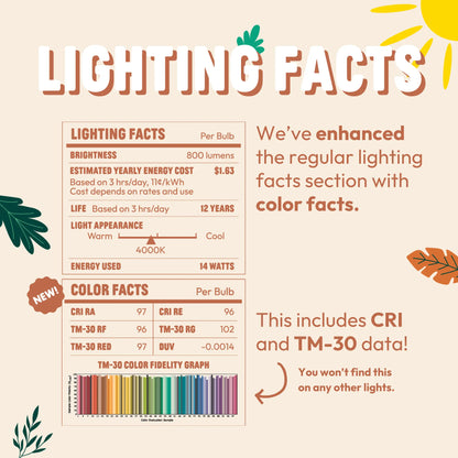 Lighting facts and color facts chart with sun and leaf graphics on a beige background